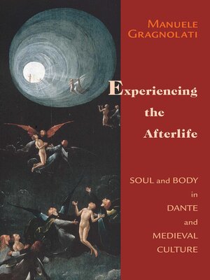 cover image of Experiencing the Afterlife